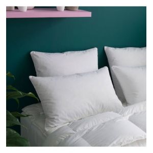 Oreiller MEDIUM 30% Duvet Anti-acariens - Coton Bio 65x65 cm - Wake M