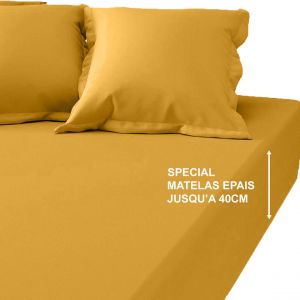 Drap-housse grand bonnet XL Coton Tertio - Curry