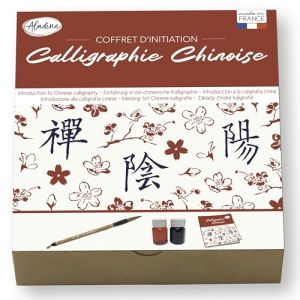 Aladine Kit d’Initiation à la Calligraphie Chinoise - Pinceau, 2 Encres & Cahier d’Écriture - Apprentissage Idéogrammes Caractères Chinois - Adulte & Enfant - Loisirs Créatifs - 85517