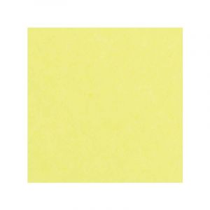 Clairefontaine Papier Maya 270 g/m², 50 x 70 cm - 270 g/m² - Paquet de 25 feuilles, Jaune citron