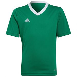 Adidas T-shirt d'Entraînement Entrada 22 - Vert/Blanc Enfant, pointure 152 cm - Vert - Taille 152 cm