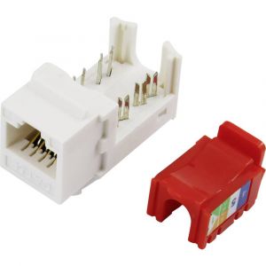 Tru Components Fiche modulaire femelle, sans outils 1425897 RJ45 Cat5e femelle, coudé gris 1 pc(s)