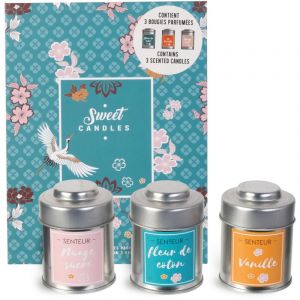 Linnea Coffret de 3 bougies parfumées vanille nuage sucré et de fleur de coton collection sweet