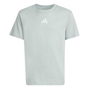 Adidas Unisex Kinder Essentials T-Shirt, Wonder Sage/White, 13-14 Years