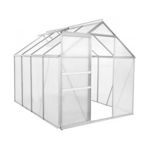 Serre jardin polycarbonate 250 x 190 x 195 cm "Basilic" - 4,75 m&sup2; - Gris