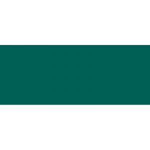 Image de Staedtler Feutre Triplus Fineliner 334, Vert d'eau