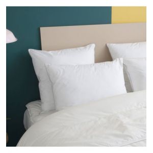 Oreiller MOELLEUX Toucher Duvet - Coton 50x70 cm - Wake Me Green