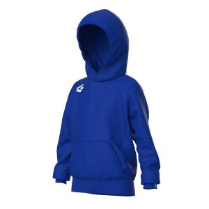 Arena Sweatshirt &agrave; capuche enfant Team Panel