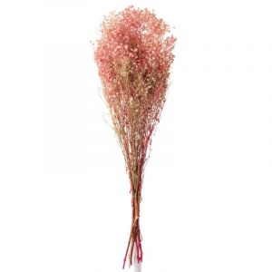 Prix Bouquet de Fleurs Gypsophile Séc 84cm Rose