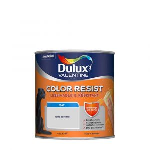 Dulux Valentine Peinture bicouche intérieure Color Resist Murs et Boiseries Mat Gris Tendre 0,5 L