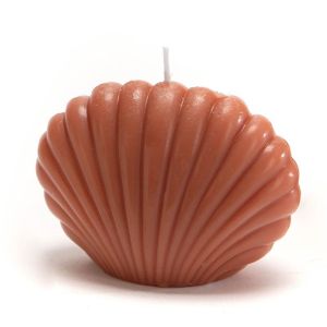 Amadeus Bougie coquillage Terra (lot de 8)