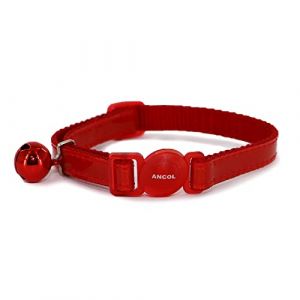 Ancol Pet Products Ltd Collier réfléchissant pour Chat avec Boucle de sécurité
