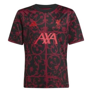 Adidas Liverpool T-shirt d'Entraînement Avant-Match - Noir/Pure Ruby Enfant, pointure 128 cm - ['Rouge', 'Noir'] - Taille 128 cm