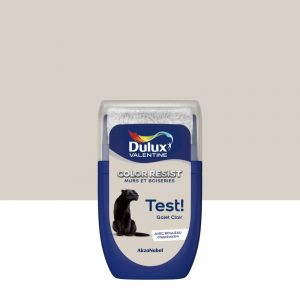 Dulux Valentine Testeur Peinture Color Resist Galet Clair 0,03L