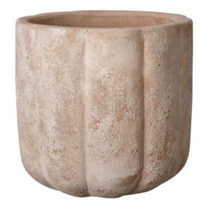 Deroma Cuvier Pumkin 20cm