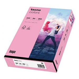 Inapa Tecno Colors Lot de 250 feuilles de papier coloré 160 g/m² Rose Format A4