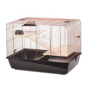 Duvo Cage Copper Rex 2 - 58x38x43 cm - Noir et cuivre - Pour rongeurs