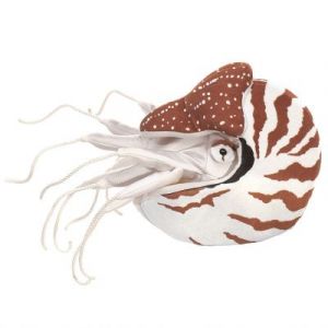 Folkmanis Nautilus Hand Puppet