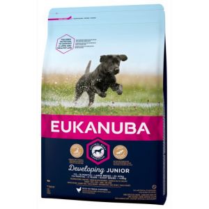 Eukanuba Junior Razas Grandes 15 Kg