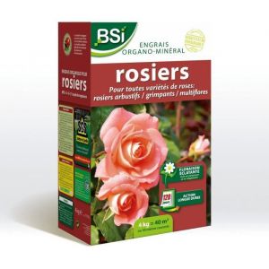 BSI Engrais Bio Rosiers - Pour Toutes Les Sorte De Roses - Floraison Éclatante - Action Longue Durée - 4Kg - Jusqu'A 40 M²
