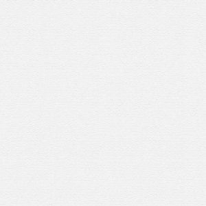 A.S. Creation Papier peint 961310 Meistervlies 2020 | Papier peint Blanc &Uuml;berstreichbar en ligne - Architects Paper