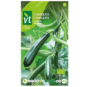 Courgette Grimpante - Ca. 1 gr (Livraison Gratuite)