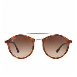 Image de Ray-Ban RB4266 - Verres Marron