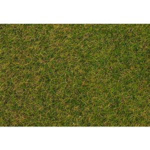 Faller Modélisme : Végétation : Fibres de flocage, Herbes sauvages, Prairie début d'été
