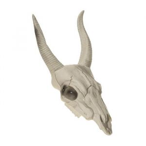 Chaks Cr&acirc;ne T&ecirc;te De Buffle 14 X 40 Cm