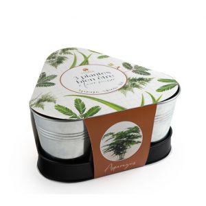 Nature & Découvertes 3 plantes bien-être à faire pousser