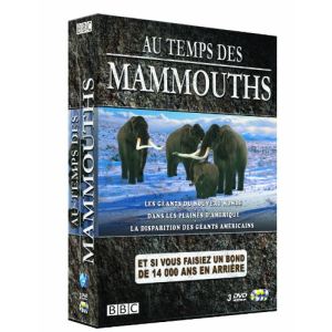 Coffret Au temps des mammouths