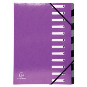 Exacompta Lot de 6 trieurs Harmonika Iderama 12 compartiments - Violet - 53926E