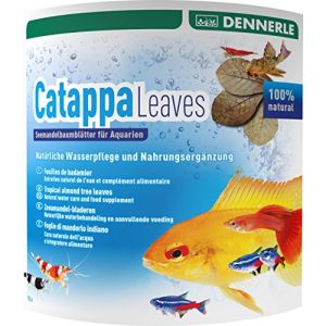 Dennerle Feuilles de badamier Catappa Leaves - 10 feuilles