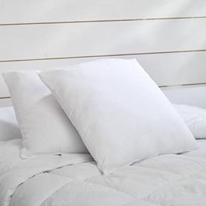 Bleu C&acirc;lin Bleucalin Lot de 2 oreillers Alaska 60x60cm