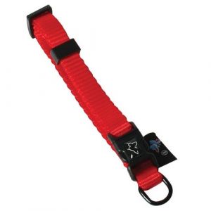 Martin Sellier Collier nylon réglable - rouge 20/30 cm