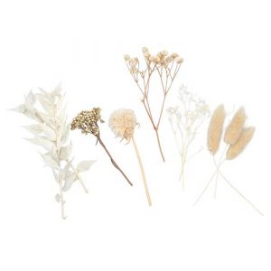 Fleurs séchées - ton blanc - 10 pièces - jusqu'à H 13 cm environ