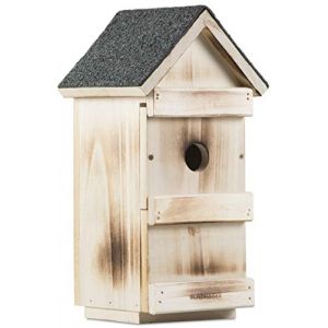 Image de Windhager Nichoir &agrave; oiseaux 3 en 1 16x15x31cm