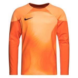 Nike Unisex Kids Jersey Y NK Dfadv Gardien Iv Gk Jsyls, Safety Orange/Orange Trance/Black, DH8346-819, L