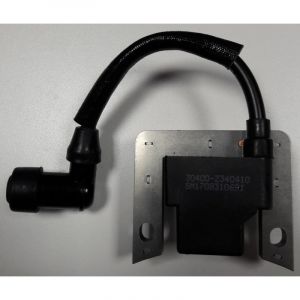 Pubert BOBINE D'ALLUMAGE RV170 8033655309756