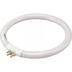 Toolcraft Tube néon rond T4 12 W
