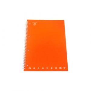 Pigna Bloc Maxi Spirale perforé Format A4 linéature 1R Ligne », 8005235078680, Multicolore