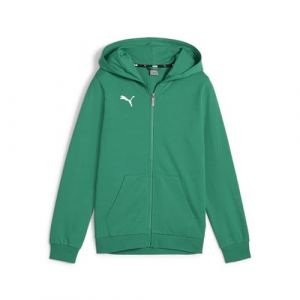 Puma Teamgoal Casuals Hooded Jacket Jr Sueur Enfants et Adolescents
