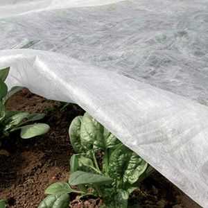 Tenax Ortoclima Plus 2,40x5 m Blanc, Voile d'Hivernage pour Plantes et Cultures, en Tissu Non Tissé 30 g/m², Protège Les Plantes, Fleurs et Légumes du Froid, du Gel et du Vent
