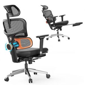 Newtral Chaise De Bureau Chair Pro Nt002 Chaise Ergonomique Adaptative Pour Le Bas Du Dos, Accoudoir Réglable, Appui-Tête, Repose-Pi