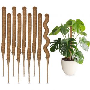 Relaxdays Tuteurs en Fibre de Coco, Lot de 10, pour Monstera, Photos, Supports pour Plantes d'intérieur, 60 cm, Nature