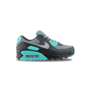Nike Basket Air Max 90 Cool Grey Dm0029-013