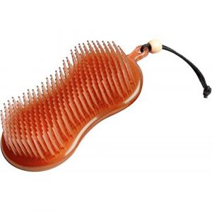 Lemieux Brosse multifonction pour cheval Hippo