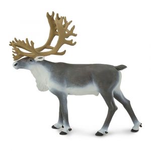 Safari Ltd Renne From 3 Years Grey