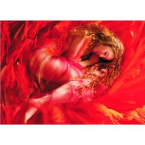 Beauté Endormie - Puzzle 1000 pièces