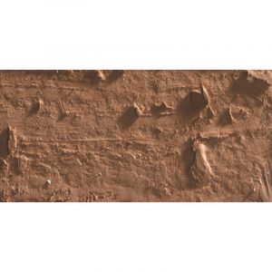 Caran d'Ache Pastel à l'huile Néopastel canelle